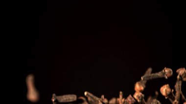 Süper yavaş çekim karanfil baharatları. 1000 fps 'de yüksek hızlı bir kamerayla çekildi. Yüksek kaliteli FullHD görüntüler