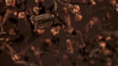 Süper yavaş çekim karanfil baharatları. 1000 fps 'de yüksek hızlı bir kamerayla çekildi. Yüksek kaliteli FullHD görüntüler