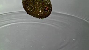 Süper yavaş çekim taze avokado ve damlalar. 1000 fps 'de yüksek hızlı bir kamerayla çekildi. Yüksek kaliteli FullHD görüntüler