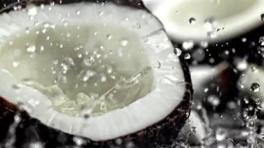 Süper yavaş çekim taze topikal hindistan cevizleri. 1000 fps 'de yüksek hızlı bir kamerayla çekildi. Yüksek kaliteli FullHD görüntüler