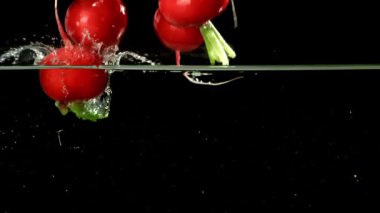 Süper yavaş çekimde taze turp. 1000 fps 'de yüksek hızlı bir kamerayla çekildi. Yüksek kaliteli FullHD görüntüler