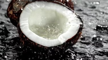 Süper yavaş çekim taze topikal hindistan cevizleri. 1000 fps 'de yüksek hızlı bir kamerayla çekildi. Yüksek kaliteli FullHD görüntüler