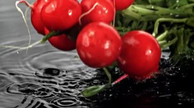 Süper yavaş çekimde taze turp. 1000 fps 'de yüksek hızlı bir kamerayla çekildi. Yüksek kaliteli FullHD görüntüler