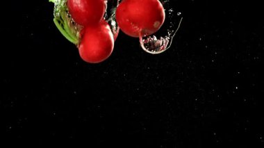 Süper yavaş çekimde taze turp. 1000 fps 'de yüksek hızlı bir kamerayla çekildi. Yüksek kaliteli FullHD görüntüler