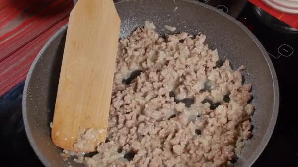 Carne Picada Polvilha Com Sal Uma Panela — Vídeo de Stock