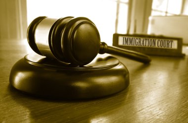 Immigration Court gavel clipart