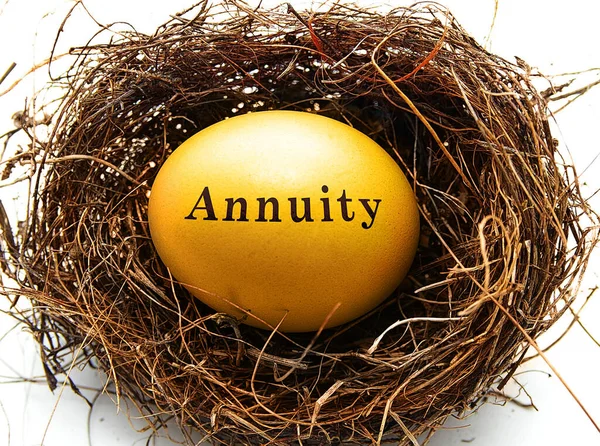 Golden Annuity Een Vogelnest Wit — Stockfoto