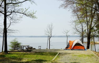 Raleigh Kuzey Carolina yakınlarındaki Jordan Gölü Eyalet Parkı 'nda, Poplar Point kamp alanında bir çadır.