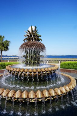 Manzaralı Waterfront Park 'taki Pineapple Fountain, Charleston SC                               