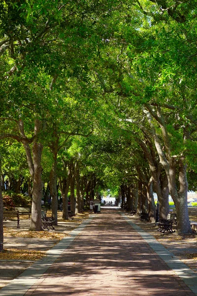 Waterfront Park Lado Porto Charleston Carolina Sul — Fotografia de Stock