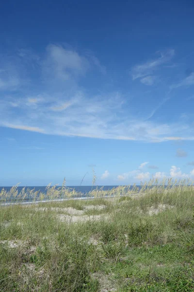 Vegetatie Het Strand Zandduinen Van Caswell Beach Oak Island North — Stockfoto