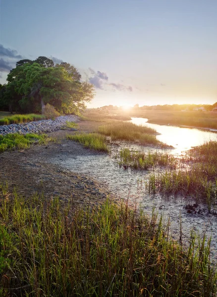 日落时查尔斯顿Sc附近低洼地区沿海沼泽地的景观 — 图库照片