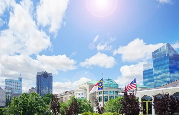 View Downtown Skyline Raleigh North Carolina State Museum Natural Sciences — Stock Photo, Image