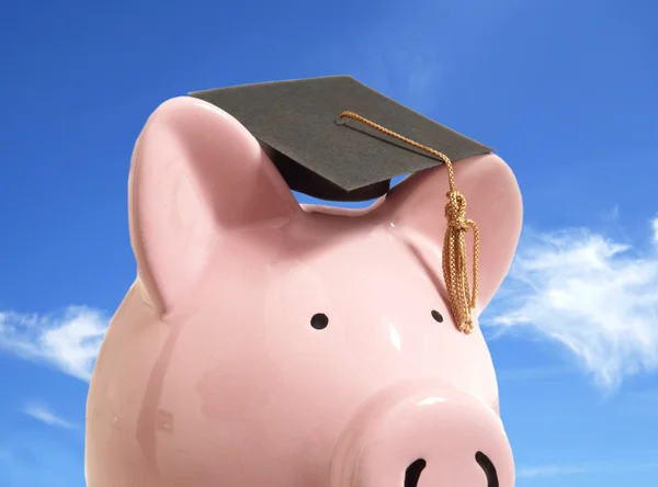 Piggy grap cap — Stock Photo, Image