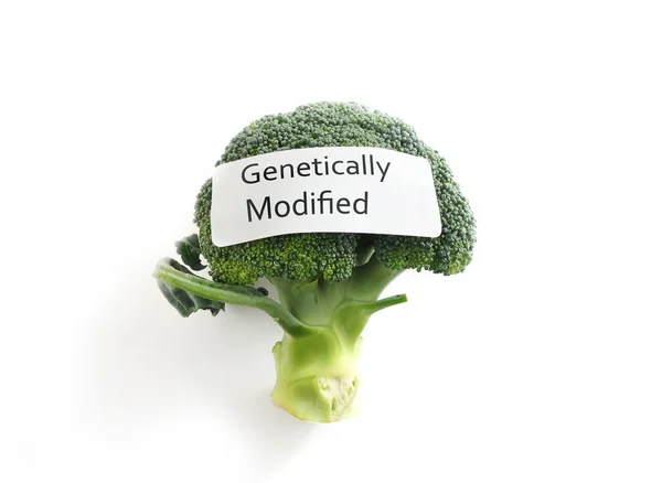 GMO veggie — Stock Photo, Image