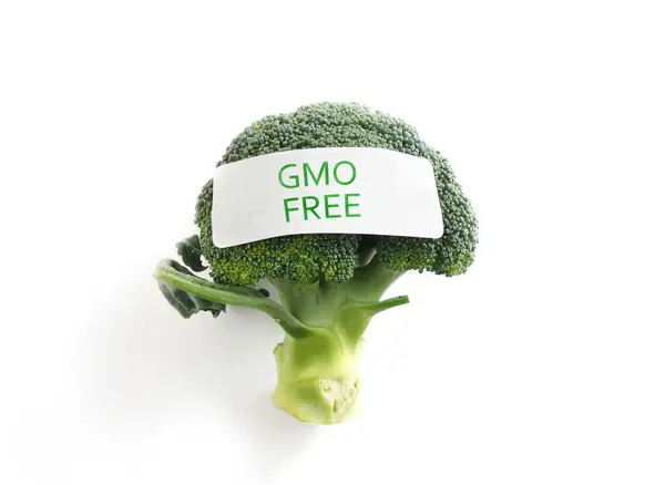 GMO free vegetarián — Stock fotografie