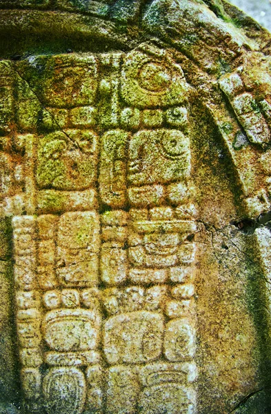 Mayan glyphs — Stock Photo, Image