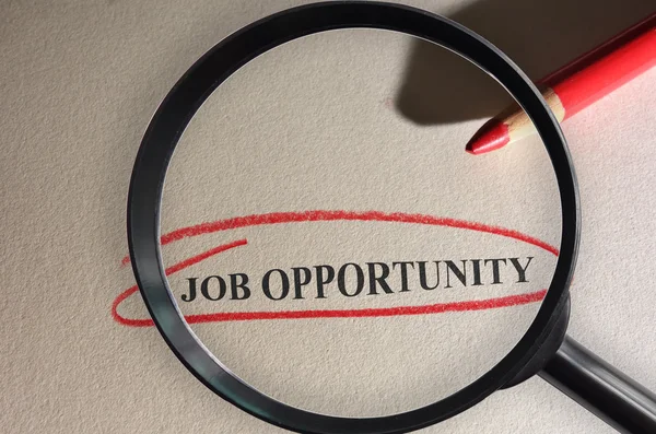 Recherche d'opportunités d'emploi — Photo