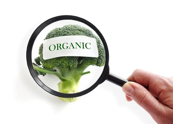 Olho de comida orgânica — Fotografia de Stock