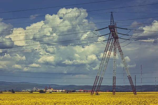 Poste de electricidad en campo de colza — Foto de Stock