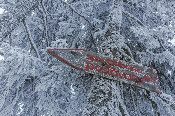 Hinweisschild aus Holz — Stockfoto