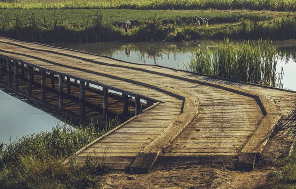 Wooden footbridge across pond — Stock Photo, Image