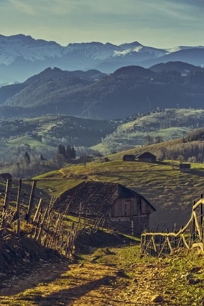 Scène rurale roumaine — Photo
