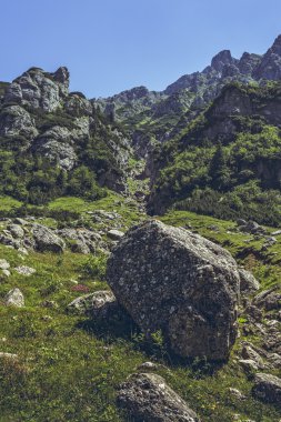 Alp sahne, Bucegi Dağları, Romanya