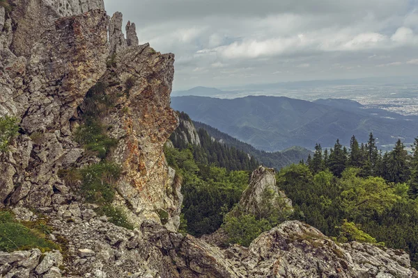 Alpine wilderness and quiet — Stock Photo, Image