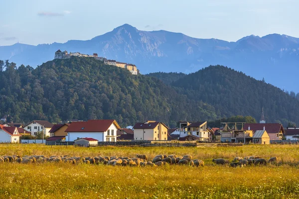 Rasnov pevnost a bucegi mountains, Rumunsko — Stock fotografie