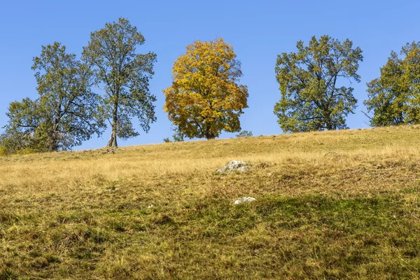 Podzimní krajina — Stock fotografie