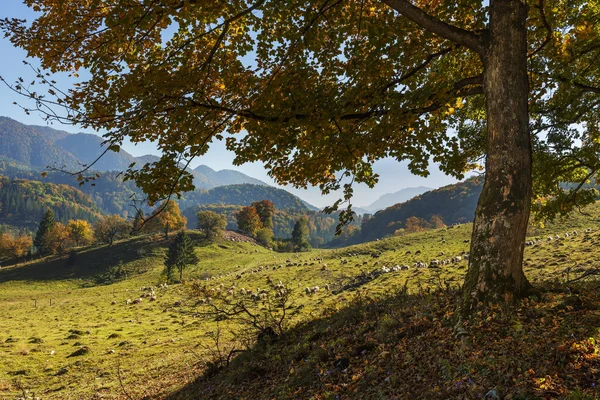 Autunno paesaggio montano — Foto Stock