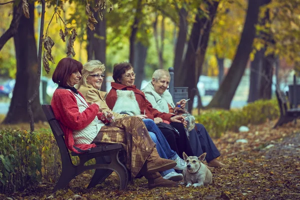 Donne in pensione su una panchina Foto Stock