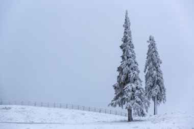 sisli kış manzarası