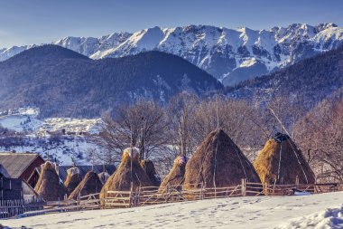 Kışın haystacks grupla