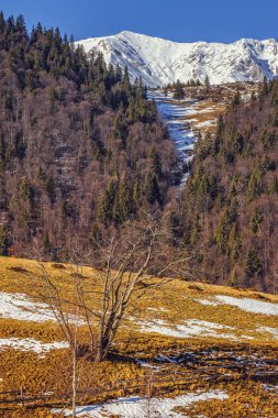 Piatra Craiului doğal rezerv, Romanya