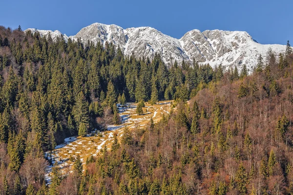 Piatra Craiului Milli Parkı, Romanya