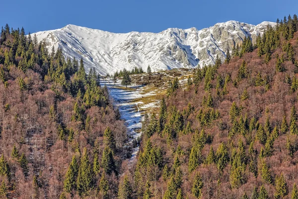 Горы Пятра Фельюлуй, Румыния . — стоковое фото