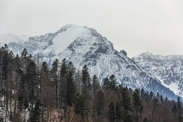 Bucegi mountains winter landscape — Stock Photo, Image