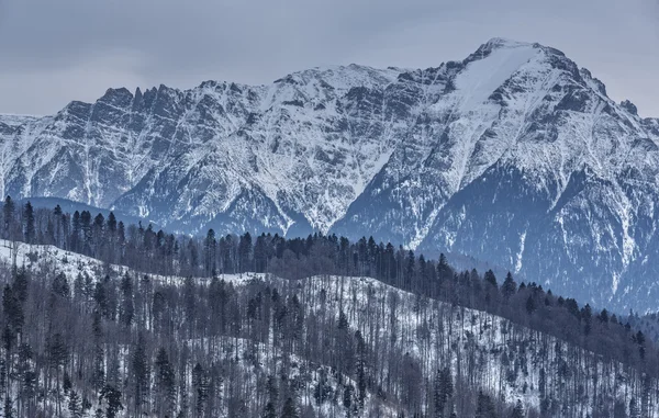 ブチェジ山脈 — ストック写真