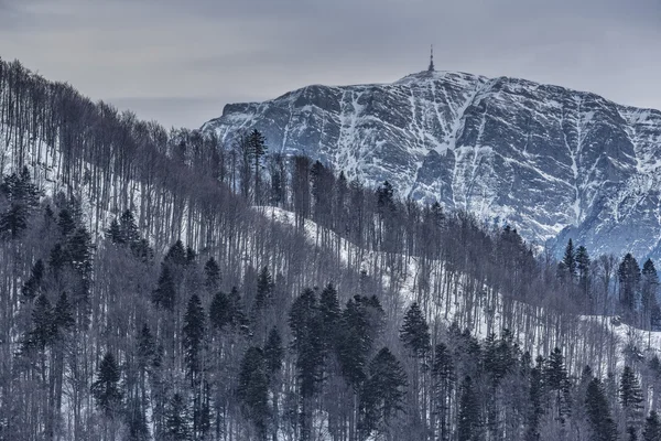 荒涼とした冬の山の風景 — ストック写真