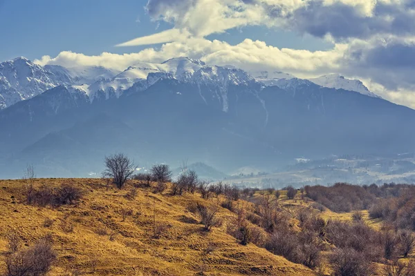 Bucegi montagnes paysage vernal — Photo