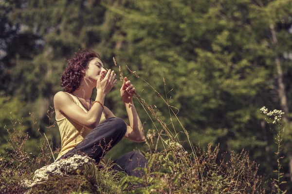 Nature rejoice — Stock Photo, Image