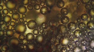 Deterjan mikroskop altında