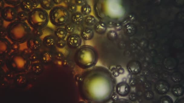 Détergent au microscope 