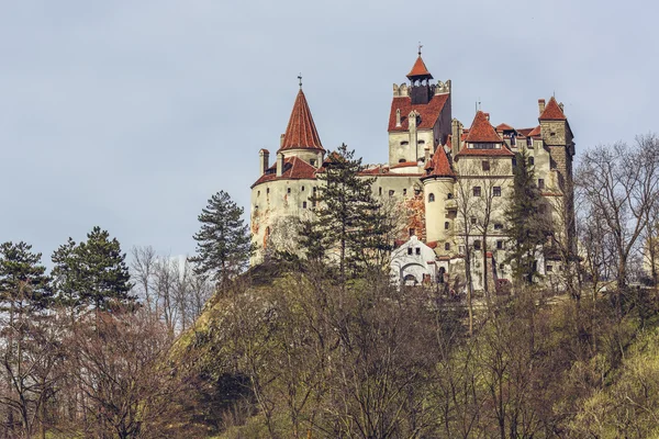 Castillo de Drácula, salvado, Rumania —  Fotos de Stock