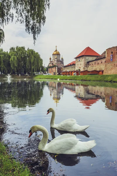 Fagaras Fort, Fagaras, Roemenië — Stockfoto