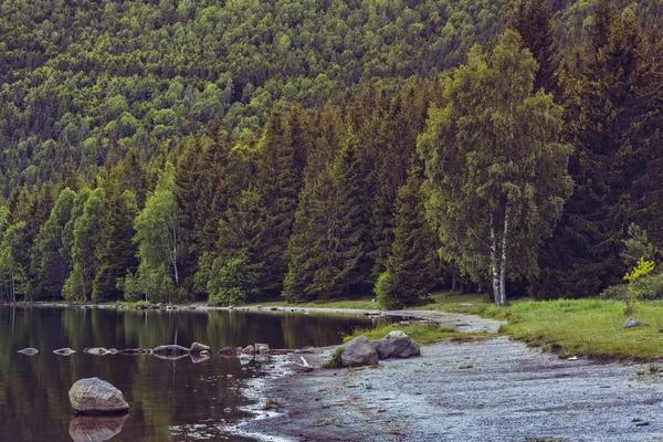 穏やかな湖の風景 — ストック写真