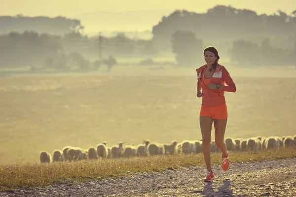 Lauf am frühen Morgen — Stockfoto