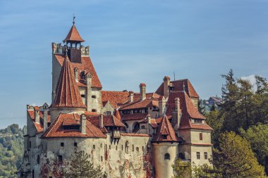 Bran Kalesi, Romanya